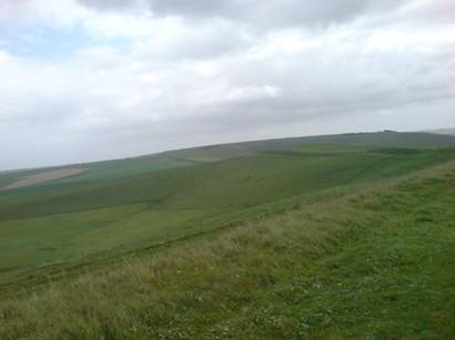 Picture of cows blocking the route.
