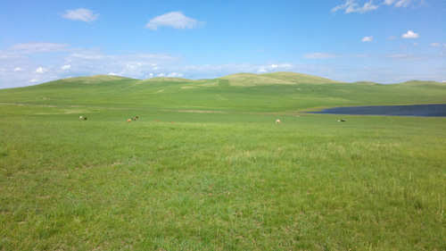 The race is on in the Grassland Extreme Marathon, but where are the runners!